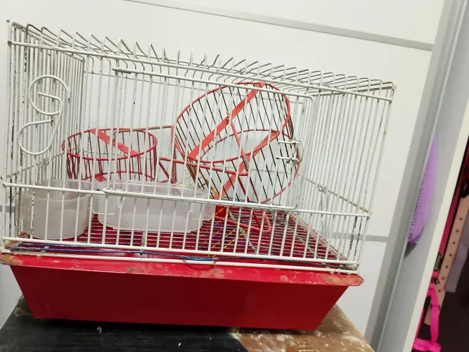 Gaiola para hamster