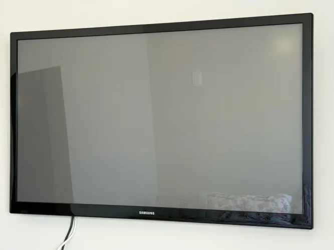 Tv samsung 50 polegadas, sem imagem/imagem queimada.