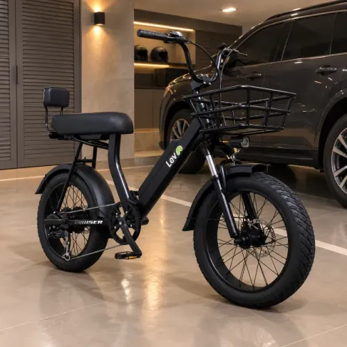 Bike Cruiser LEV nem 8 meses