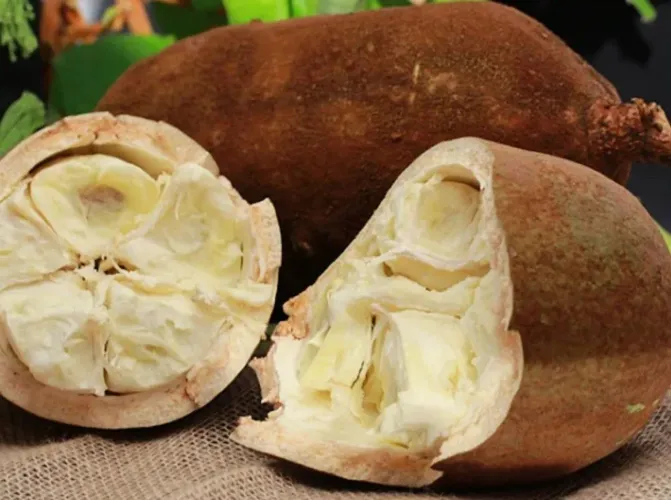 Tenho cupuaçu