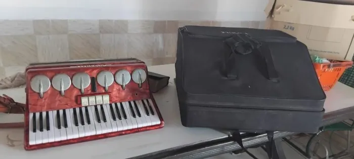 Acordeon Veronese 120 baixos vermelho com bolsa