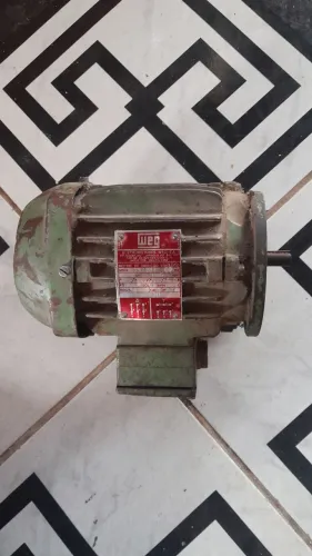 Motor trifásico