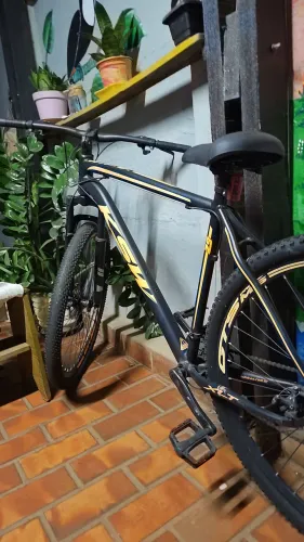 Bicicleta Aro 21