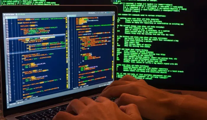 Programador