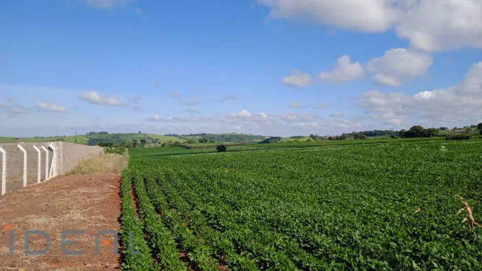 Sítio a venda em Jandaia do Sul/PR