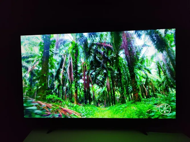 Smartv 50 polegadas 4k 60fps NOVA