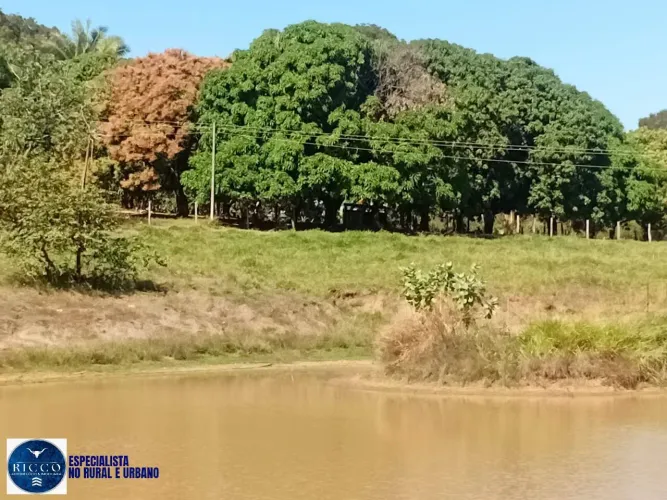 Fazenda à Venda em Montes Claros de Goiás 28 Alqueires | Rica em Água