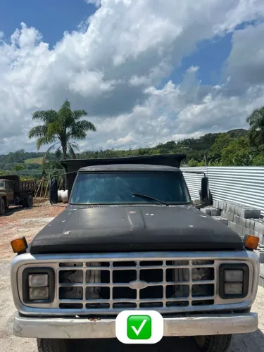 Ford f6000 em bom estado de conservação