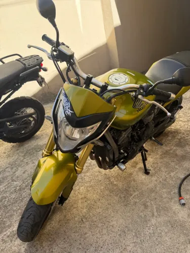 Hornet 2011/2012