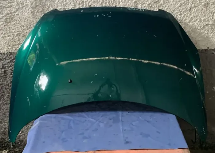 Capo do Peugeot 307