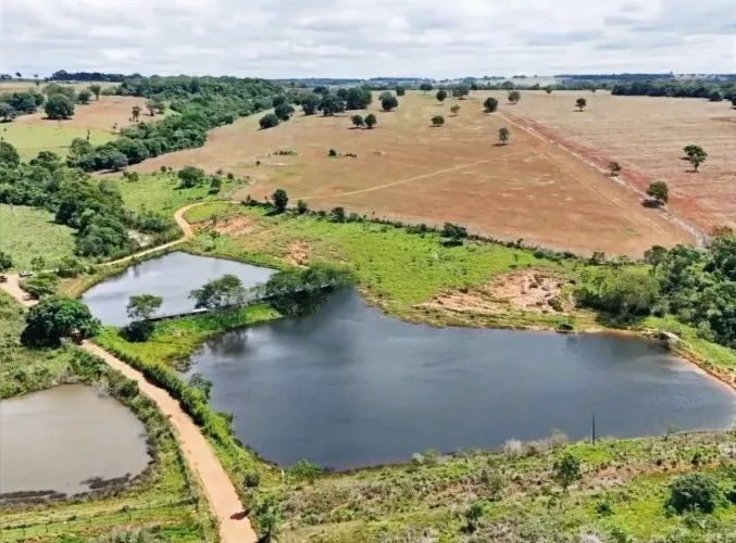 Fazenda de 127 alq em Bela Vista Go