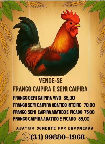 ? Frango Caipira e Semi-Caipira Vivo ou Abatido 