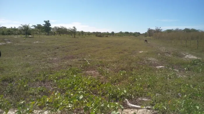 INVISTA EM JERICOACOARA E TRANSFORME TERRENO EM OPORTUNIDADE!