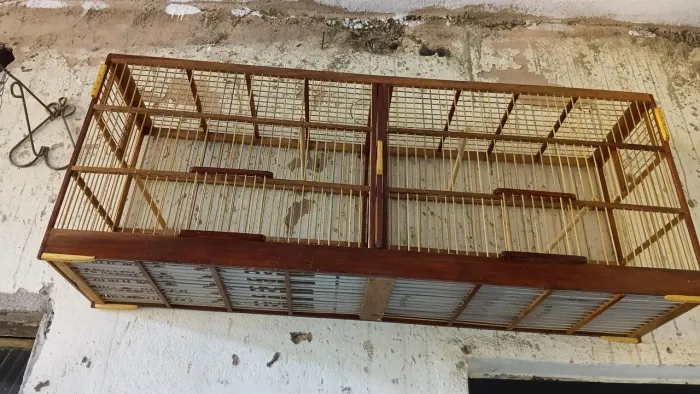 Voador 1 metrô 