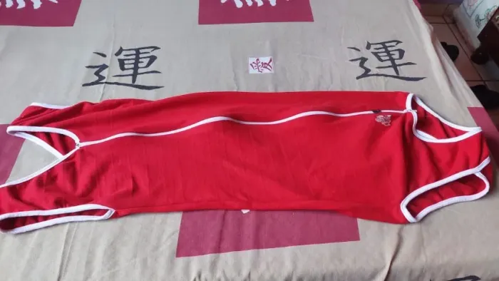 Roupa para cachorro grande