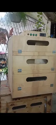 Chocadeiras com viragem dos ovos automática 