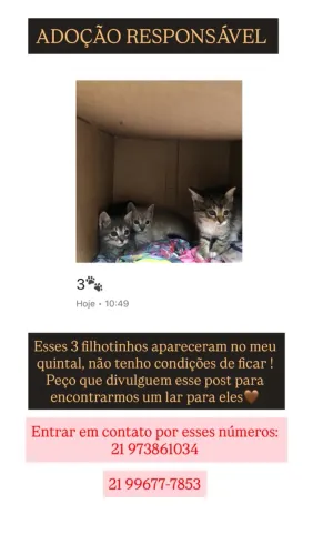 Doação