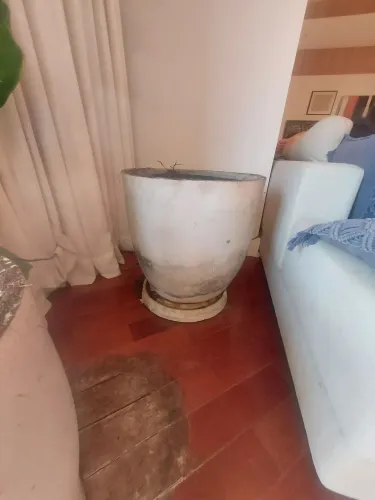 2 vasos cimentícios de 85 × 75 cm e o segundo de 70 × 55 cm, com pratos cimenticios