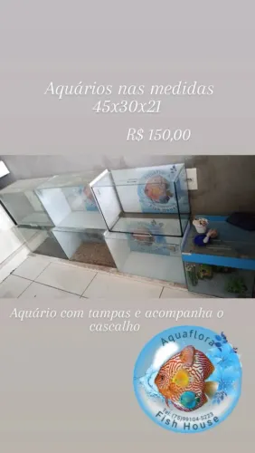 aquários