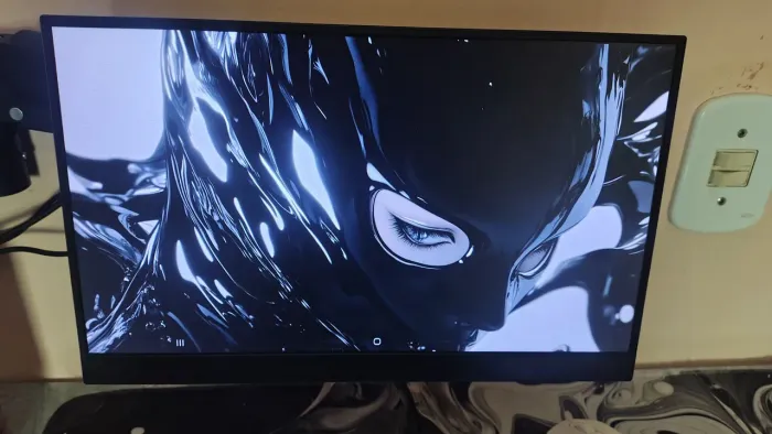 Monitor portátil