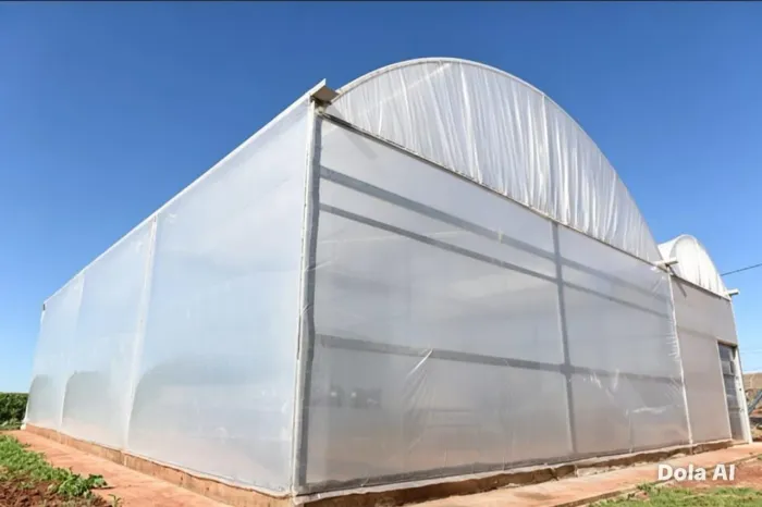 Estufa agrícola de teto em arco
