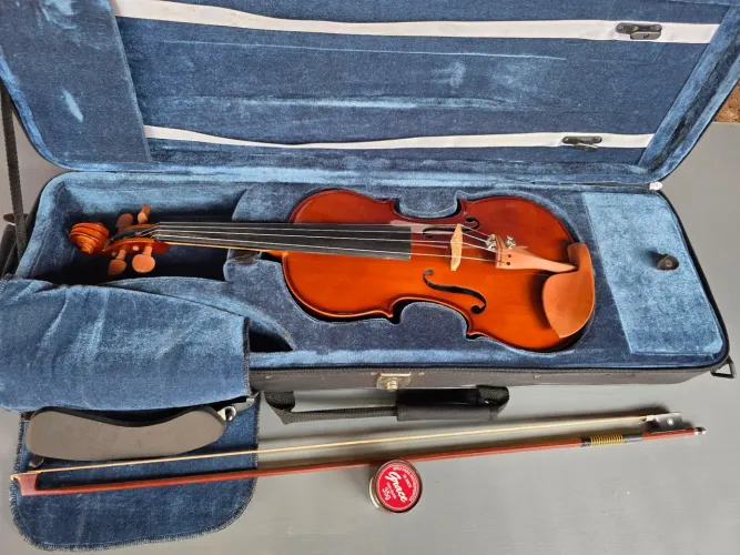 Violino eagle ve441