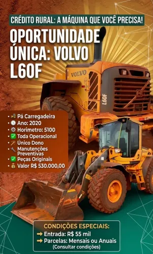 Volvo L60F