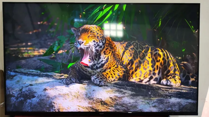 Smart TV Philips 55? 4K Ultra HD Completa c/ Controle e Cabo - Excelente Estado