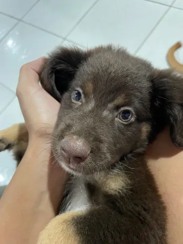 Doação responsável 