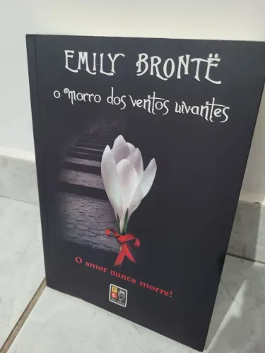 livro o morro dos ventos uivantes