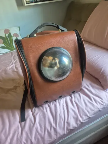 MOCHILA GATO/CACHORRO PASSEIO