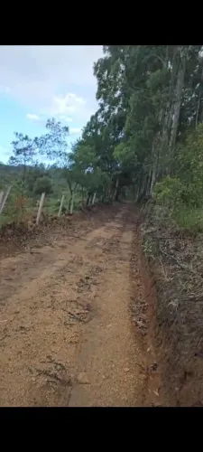 SÍTIO COM EUCALIPTO EM ARMAZÉM SC