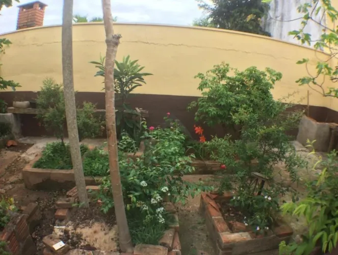 casa - Jardim Chapadão - Campinas