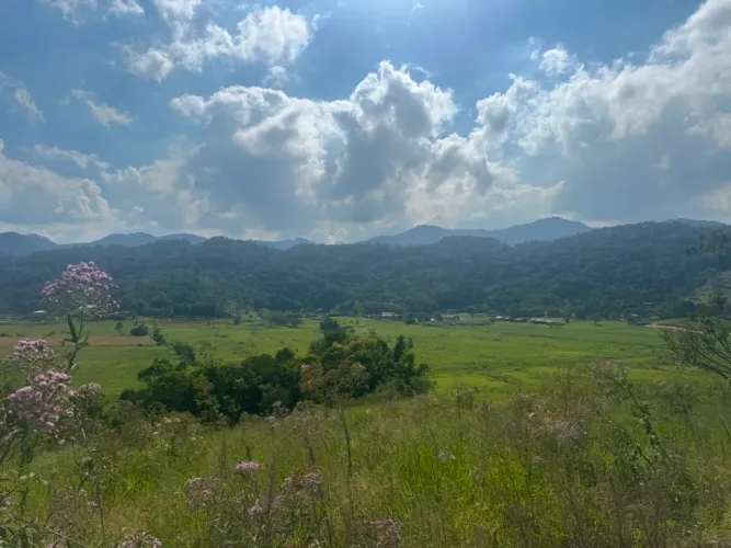 Terreno para chácara