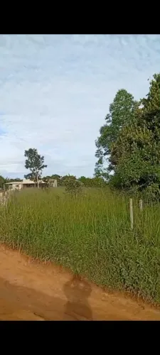 Vendo terreno 3 mil metros, município Alexânia,5 km de Strada de chão, próximo a shopping