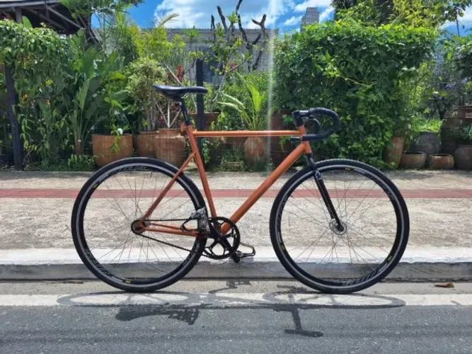 Bicicleta fixa tam 58