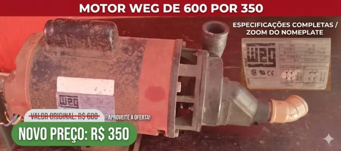 Motor WEG