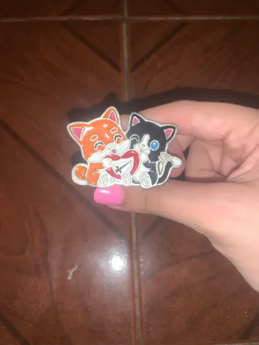 Arganel gatinho desbravadores