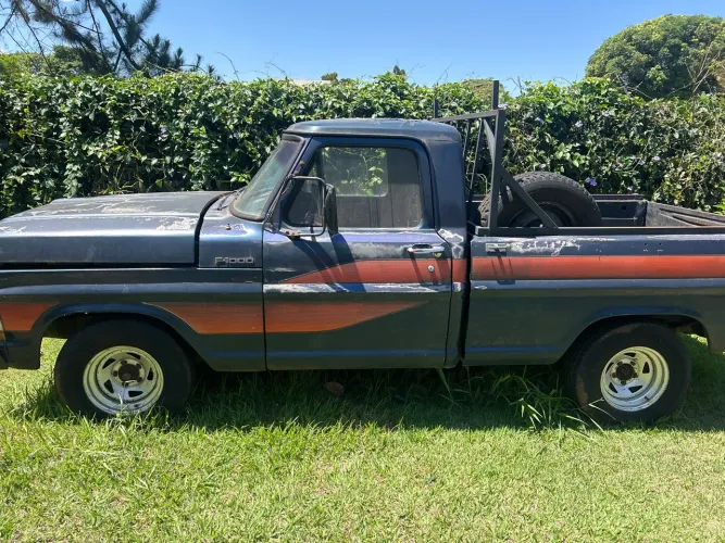 Ford F-1000 S. S. Diesel / S.s. Diesel Turbo 1985