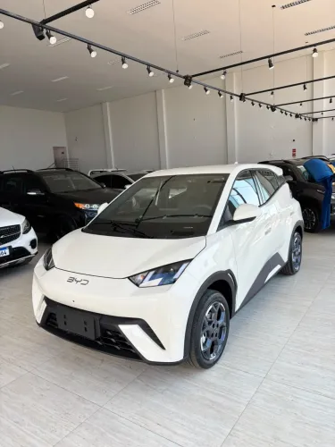 BYD Dolphin Mini (Elétrico) 2027