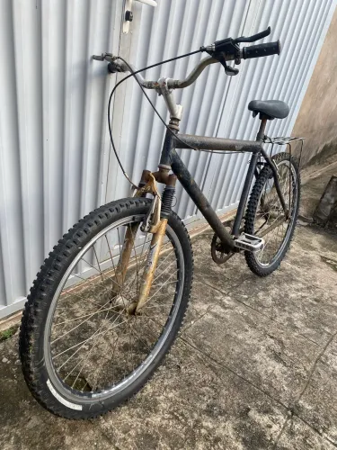 Bicicleta aro 29 Cargueira