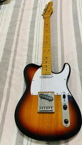 GUITARRA TELECASTER TAGIMA TW 55