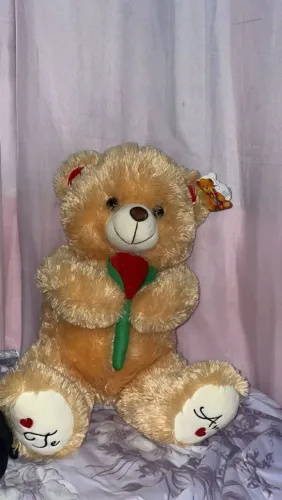 Urso de Pelúcia 