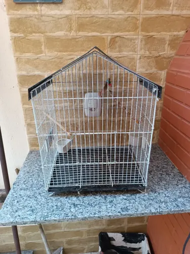 Gaiola para Agapornes