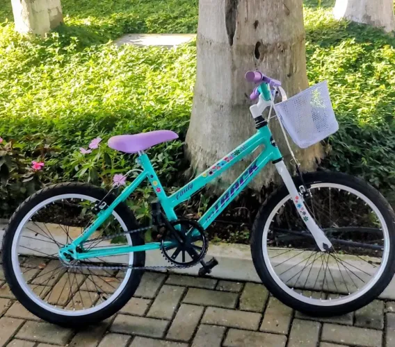 Bicicleta aro 20 nova