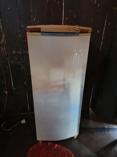 Geladeira Electrolux