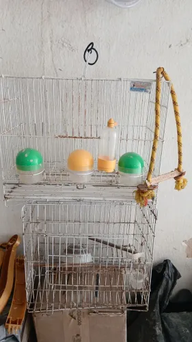  2 Gaiolas