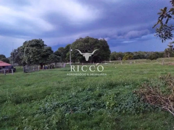 Fazenda à Venda em Araguaçu-TO | 136 Alqueires | 50 Alqueires Formados