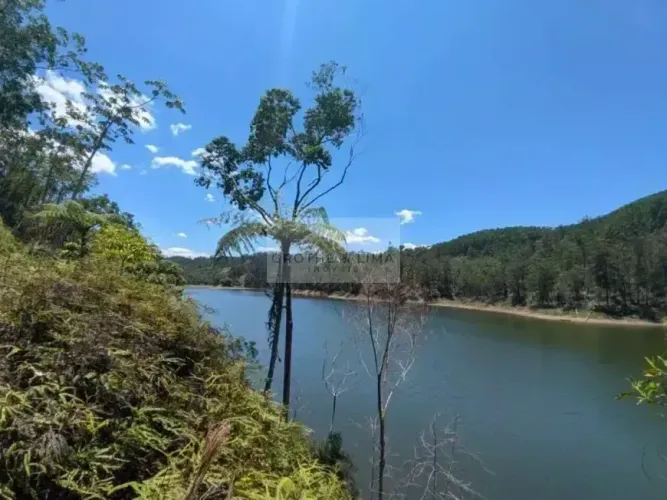 Imóvel para venda com 4212502 metros quadrados em Turvo - São José dos Campos - SP