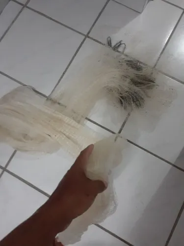 Tarafa piabeira da malha fina